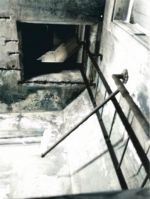 6th to 7th floor ladder.jpg