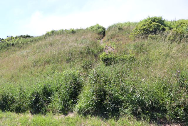 File:Cape Elizabeth MR 07.jpg