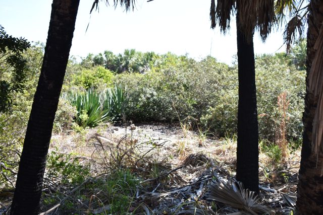 File:Commanders House Site Ft. Dade.jpg