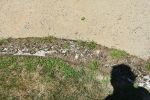 Fort Foster ... 03.jpg