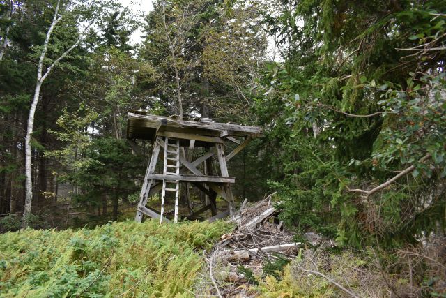 File:Fort Levett20.jpg