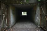 Fort Levett27.jpg