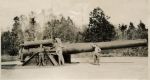 Fort Levett5.jpg