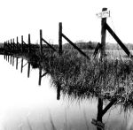 FtDbBarbed Wire Fence.jpg