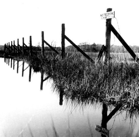 File:FtDbBarbed Wire Fence.jpg