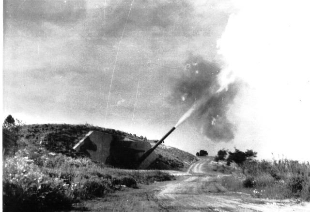 File:Ftdearborn BatterySeamanFiring.jpg