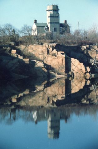 File:Halibut FCT (70).jpg