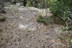 Levett (200) 13.jpg