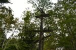 Levett (200) 30.jpg