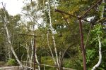 Levett (79) 26.jpg
