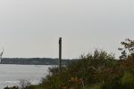 Levett (79) 42.jpg