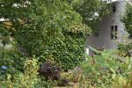 Loc. 163 Site 2A overgrown.jpg