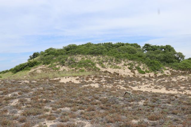 File:Plum Island FC Station Locale.jpg