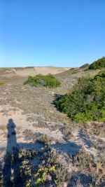 Plum island fct locale.jpg