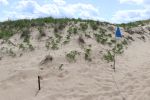 Salisbury Beach MR 02.jpg