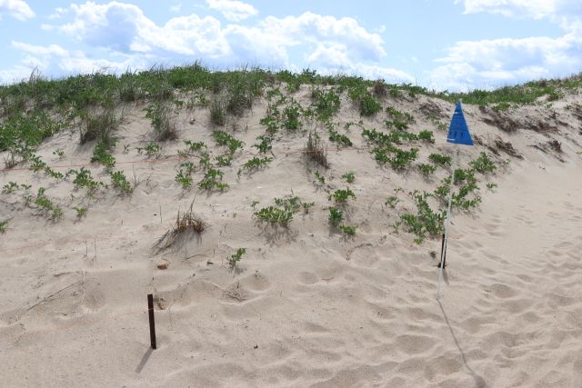 File:Salisbury Beach MR 02.jpg