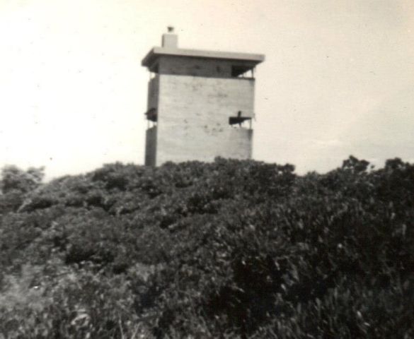File:Site 4B Mott.jpg