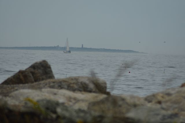 File:Stark (1) 03.jpg