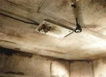 Timer Bell Mount PN.jpg