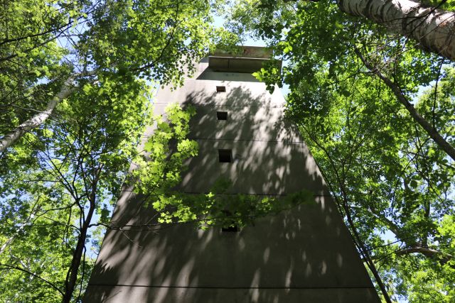 File:Trundy Point MR 01.jpg