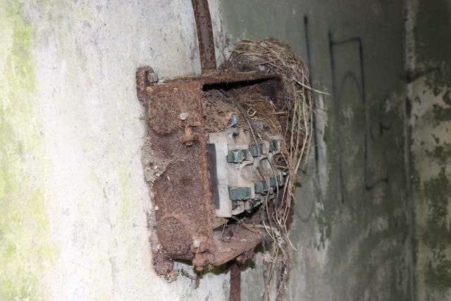 File:WADSWOTH 01.jpg