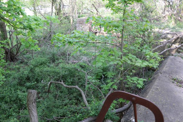 File:WADSWOTH 05.jpg