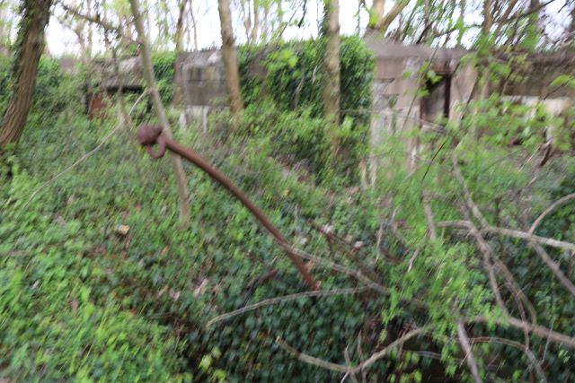 File:WADSWOTH 08.jpg