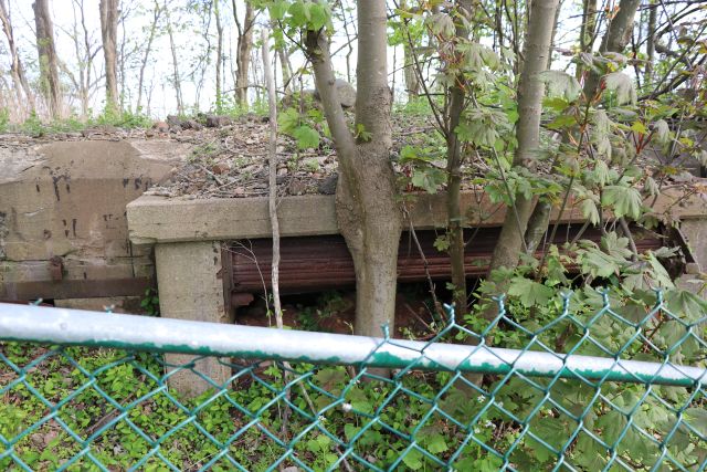 File:WADSWOTH 09.jpg