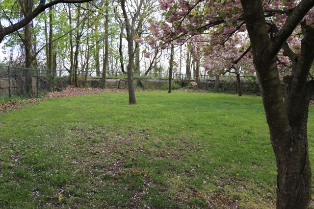 File:WADSWOTH 10.jpg