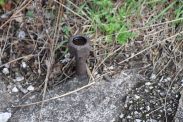 File:WADSWOTH 22.jpg