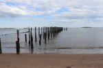 Wadsworth (10) 04.jpg
