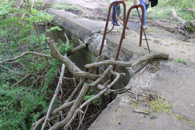 File:Wadsworth (10) 05.jpg